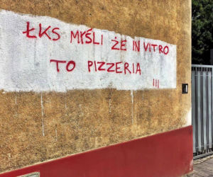 Widzew nosi czapkę z dupki od chleba, a ŁKS je komary... Derby Łodzi na murach