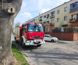 Incydent chemiczny w ostrowieckiej szkole. Rozlano formalinę, ucierpiał uczeń