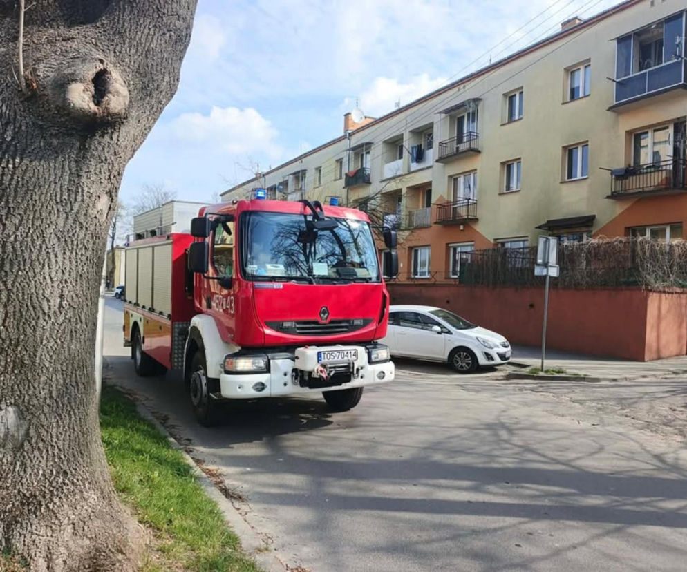 Incydent chemiczny w ostrowieckiej szkole. Rozlano formalinę, ucierpiał uczeń