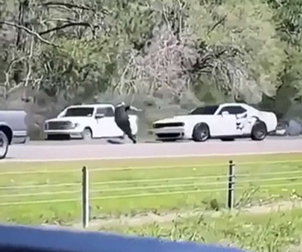 Młody pirat potrącił policjanta