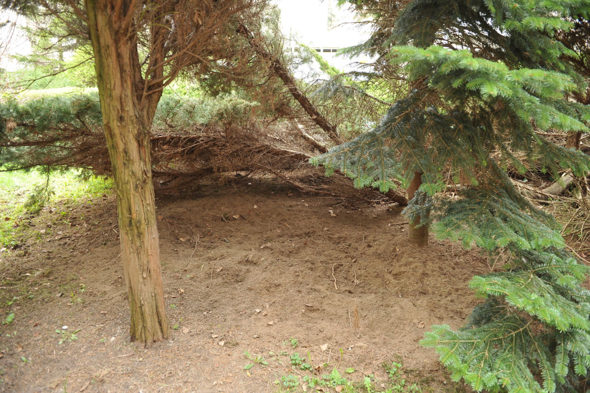 Locha oprosiła się pod szkołą na Białołęce