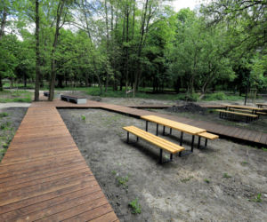 Park Tysiąclecia w Toruniu wygląda coraz piękniej! Zobacz efekty prac na lewobrzeżu