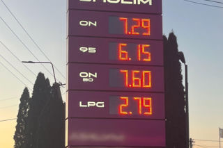 Stacja Skolima, Czeremcha