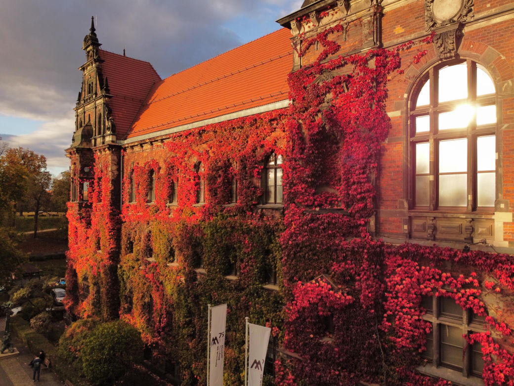Te widoki zapierają dech w piersiach. Piękna jesień we Wrocławiu   