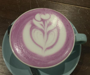 Fioletowa kawa podbija świat. Co to jest Ube Latte i dlaczego wszyscy oszaleli na jej punkcie?