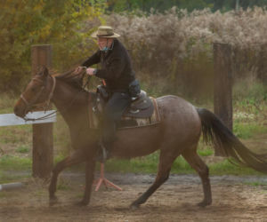 Daniel Olbrychski pachniał koniem i potem