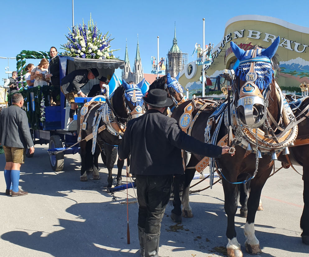 Oktoberfest od kulis