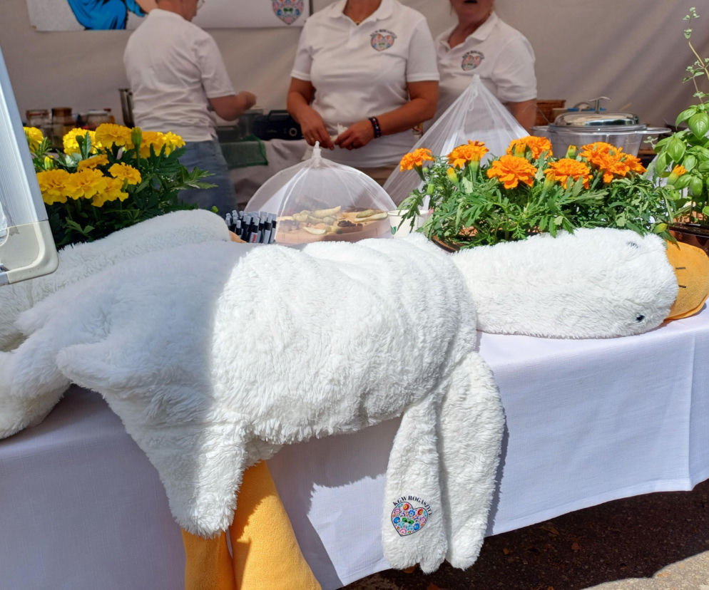 Gęsina znów opanuje Ostrzeszów! Festiwal Pasztetników i Potraw z Gęsi już we wrześniu 
