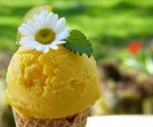 Najlepsze lody we Wrocławiu