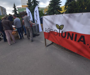 Nietypowy protest Agrounii. Rolnicy rozdawali ziemniaki w Toruniu