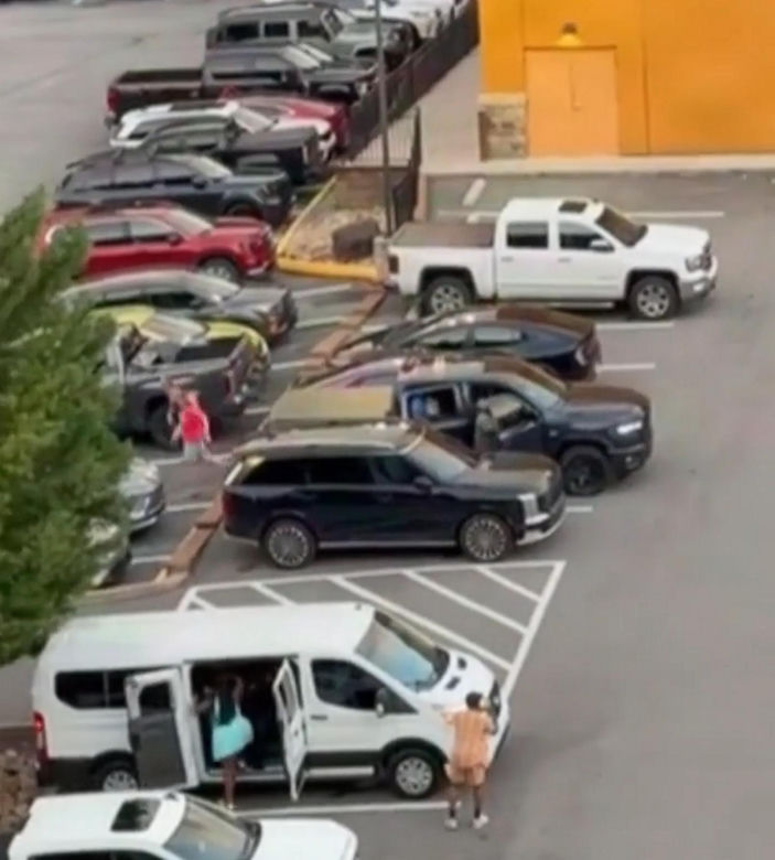 Niedźwiedź wbiegł na parking pełen ludzi! Zobacz, co stało się potem