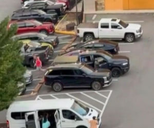 Niedźwiedź wbiegł na parking pełen ludzi! Zobacz, co stało się potem
