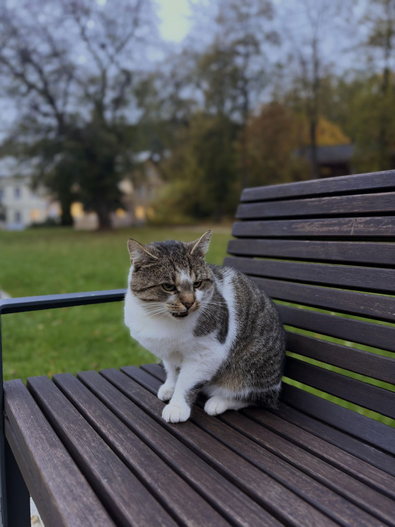 iPhone 18 Pro Jesień