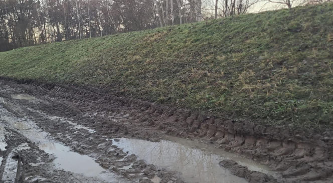 Dewastacja wałów przeciwpowodziowych pod Wrocławiem