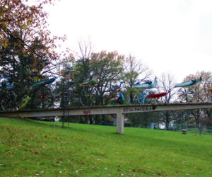 Ogniste Ptaki