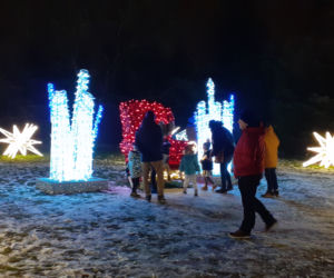 Lumina Park w Ogrodzie Botanicznym UMCS w Lublinie