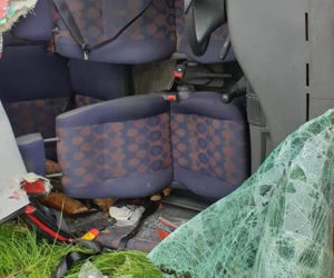 Buszkowo koło Bydgoszczy: Dachowanie auta. Trzy osoby zakleszczone [ZDJĘCIA]