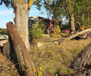 Olbrzymie kłody zablokowały drogę wojewódzką 163