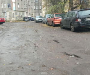Mieszkańcy chcieli poradzić sobie z problemem. Efekt? Internet pęka ze śmiechu!