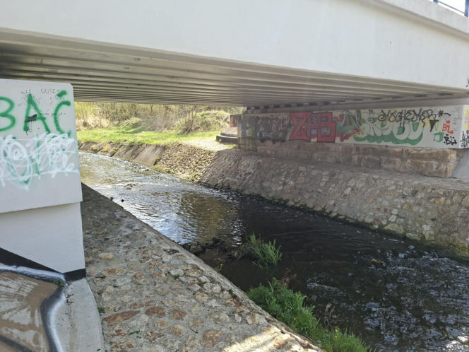 Nieznana substancja w rzece Kamiennej