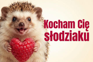 Najpopularniejsze gify na Walentynki 2026 – co wysyłać na Messengerze?