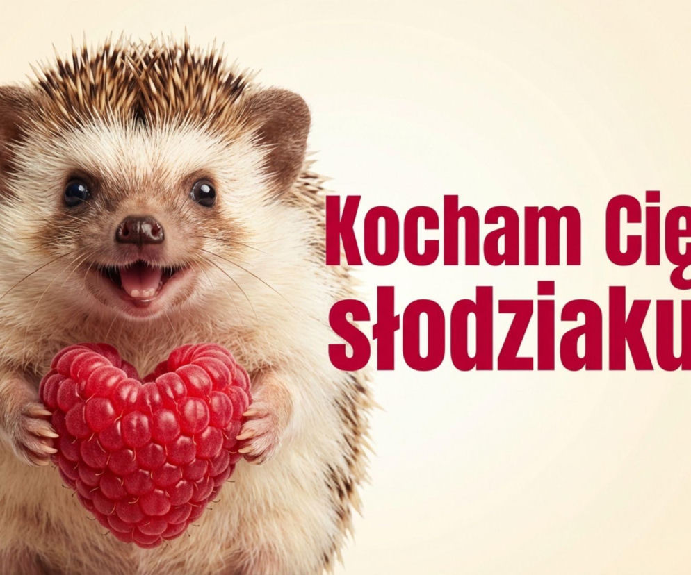 Walentynki 2026 Słodki jeżyk z malinowym sercem i napisem