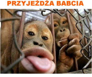 Wielkanoc 2020. Top 10 najlepszych memów na święta wielkanocne!