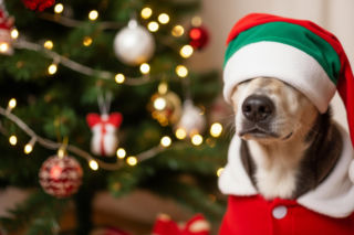 Niewidomy Zefir chwyta za serce. Jak jedno zdjęcie zmieniło jego los?