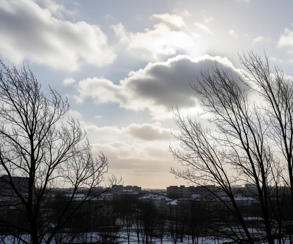 Na pierwszym planie widoczne są dwa duże, pozbawione liści drzewa, których nagie gałęzie rozciągają się ku górze, otaczając krajobraz. W tle rozpościera się panorama miasta z licznymi budynkami, częściowo pokrytymi śniegiem na dachach. Horyzont jest jasny, ukazując słoneczne niebo z rozproszonymi, puszystymi chmurami, które częściowo zasłaniają słońce, tworząc efekt jasnego obramowania chmur. Całość obrazu jest utrzymana w tonacji chłodnych barw, z dominującymi szarościami, błękitami i bielami, co podkreśla zimową atmosferę.