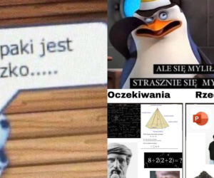 Memy z egzaminu ósmoklasisty 2022. Uczniowie nie mogą ze śmiechu. Jakie to prawdziwe! [GALERIA]