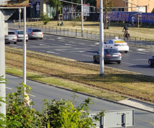 Wrocław jak pustynia! Przerażające widoki w parkach i na osiedlach