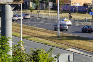 Wrocław jak pustynia! Przerażające widoki w parkach i na osiedlach