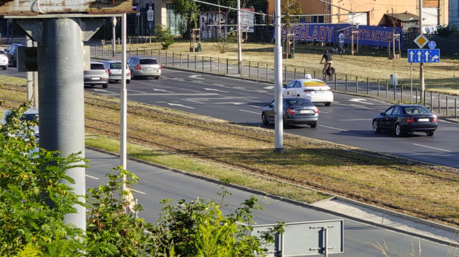 Wrocław jak pustynia! Przerażające widoki w parkach i na osiedlach