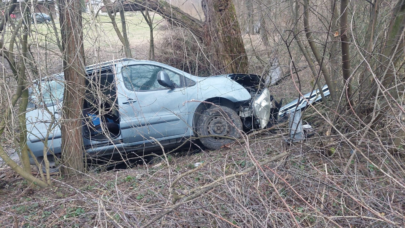 Lubaszowa. Kierujący citroenem wypadł z jezdni i wpadł do rowu