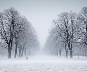 Olsztyn. Śnieg i mróz uderzają 20.11.2025 - czy miasto sparaliżuje biały puch?