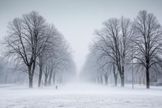 Olsztyn. Śnieg i mróz uderzają 20.11.2025 - czy miasto sparaliżuje biały puch?
