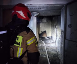 Nocny pożar w budynku w Toruniu. Cztery zastępy straży w akcji