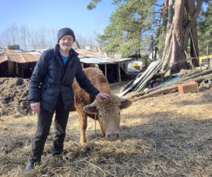 Rolnik z Podlasia bronił swojego bydła. Gdyby nie brat, to by mnie tam zatłukli