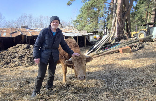 Rolnik z Podlasia bronił swojego bydła. "Gdyby nie brat, to by mnie tam zatłukli"
