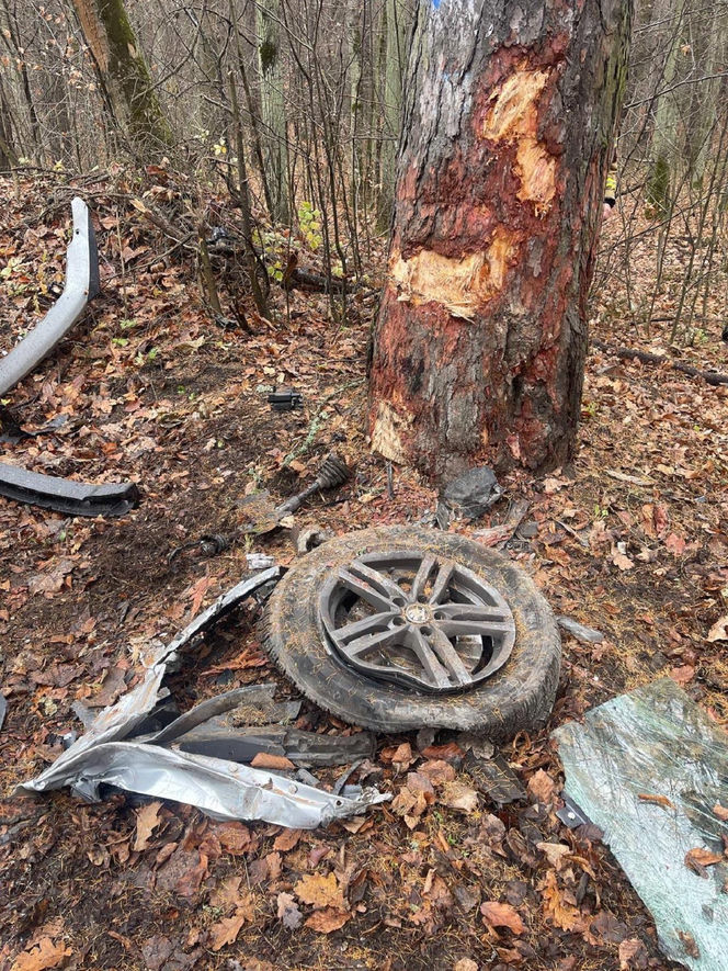 Skoda z dwiema osobami w środku uderzyła w drzewo. 4-letnie dziecko trafiło do szpitala