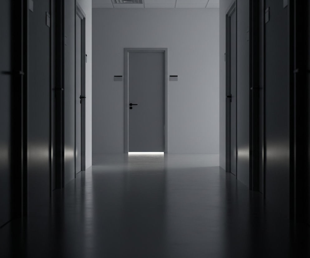 Długi, symetryczny korytarz jest skąpany w półmroku, z jasno oświetlonym przejściem na jego końcu. Po obu stronach widoczne są ciemne drzwi, których kontury zlewają się z głębokimi cieniami dominującymi na pierwszym planie. Na końcu korytarza, w centralnej części, znajdują się zamknięte jasnoszare drzwi, pod którymi przebija się intensywne światło, tworząc lśniącą smugę na podłodze. Na jasnych ścianach obok tych drzwi wiszą poziome, ciemne prostokątne szyldy.