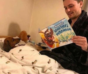 Tych memów o teściowych nie pokażesz mamie! Internauci nie mają litości