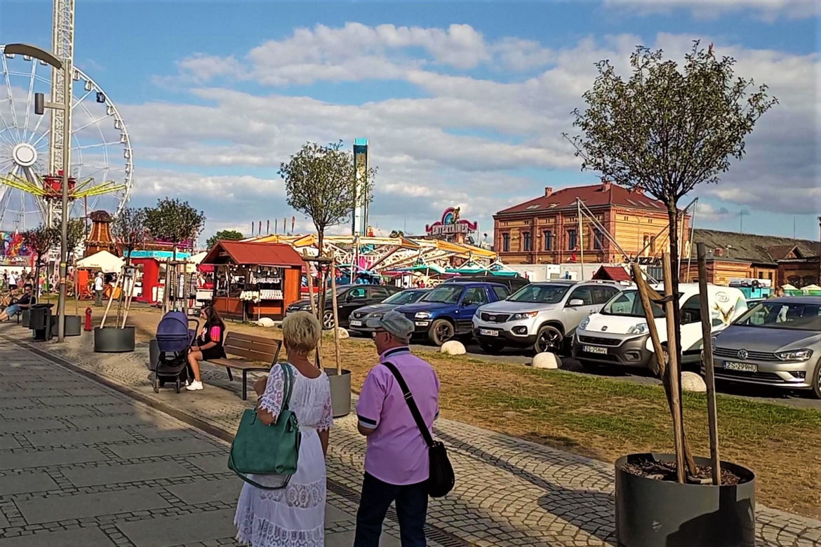 Drzewa w donicach opanowały Szczecin
