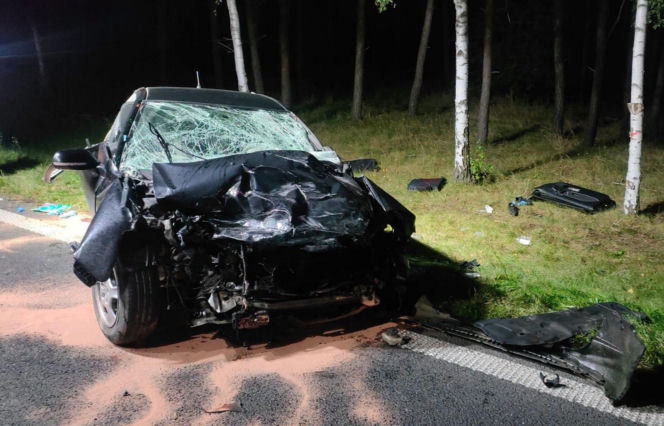 Potężne czołowe zderzenie pod Rydzyną! Nie żyje 18-latka