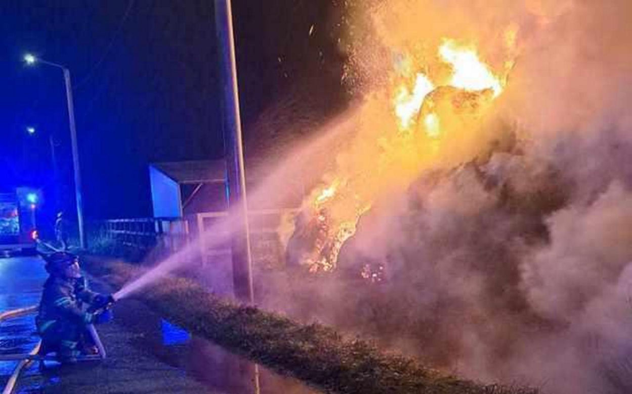 W ogniu spłonął cały zapas jedzenia dla zwierząt z przytuliska. Tragiczna sytuacja zwierząt poruszyła serca ludzi