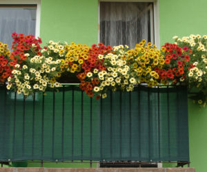 Najpiękniejsze balkony w Starachowicach