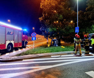 Owinął się Smartem wokół drzewa. To cud, że żyje