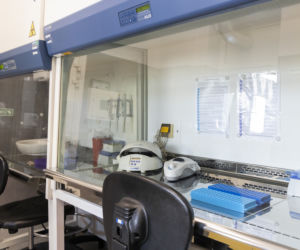 Kontrowersje wokół laboratorium w Bydgoszczy: Czy stoi ono za wzrostem zakażeń COVID-19? Sanepid tłumaczy 