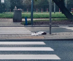Białe buty na ulicach Warszawy