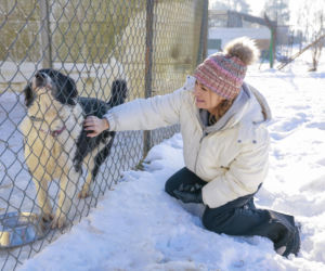 Marta Krupa z pomocą dla zwierząt. Nakarmiła psy i koty w potrzebie